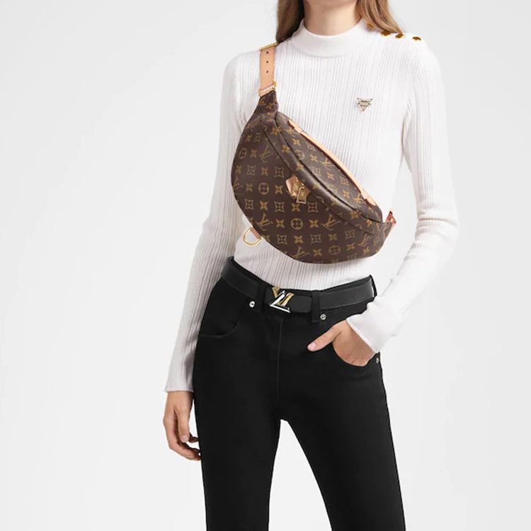 LOUIS VUITTON Ladies fanny pack