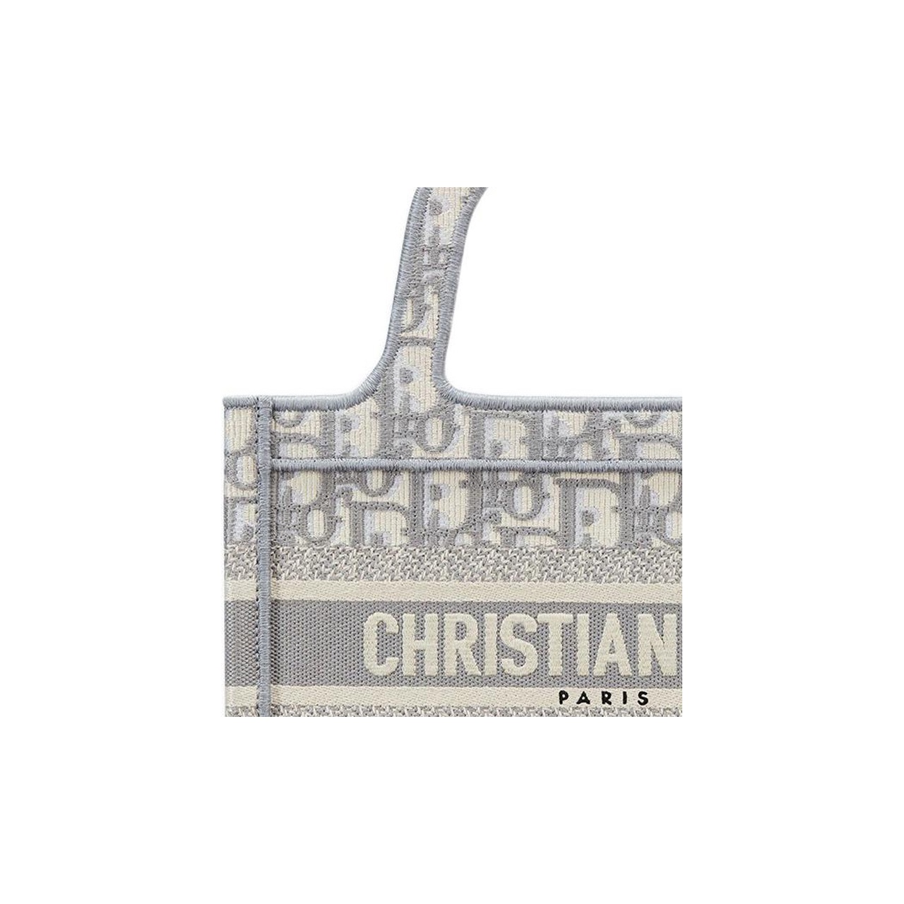 DIOR BookTote handbag