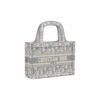 DIOR BookTote handbag