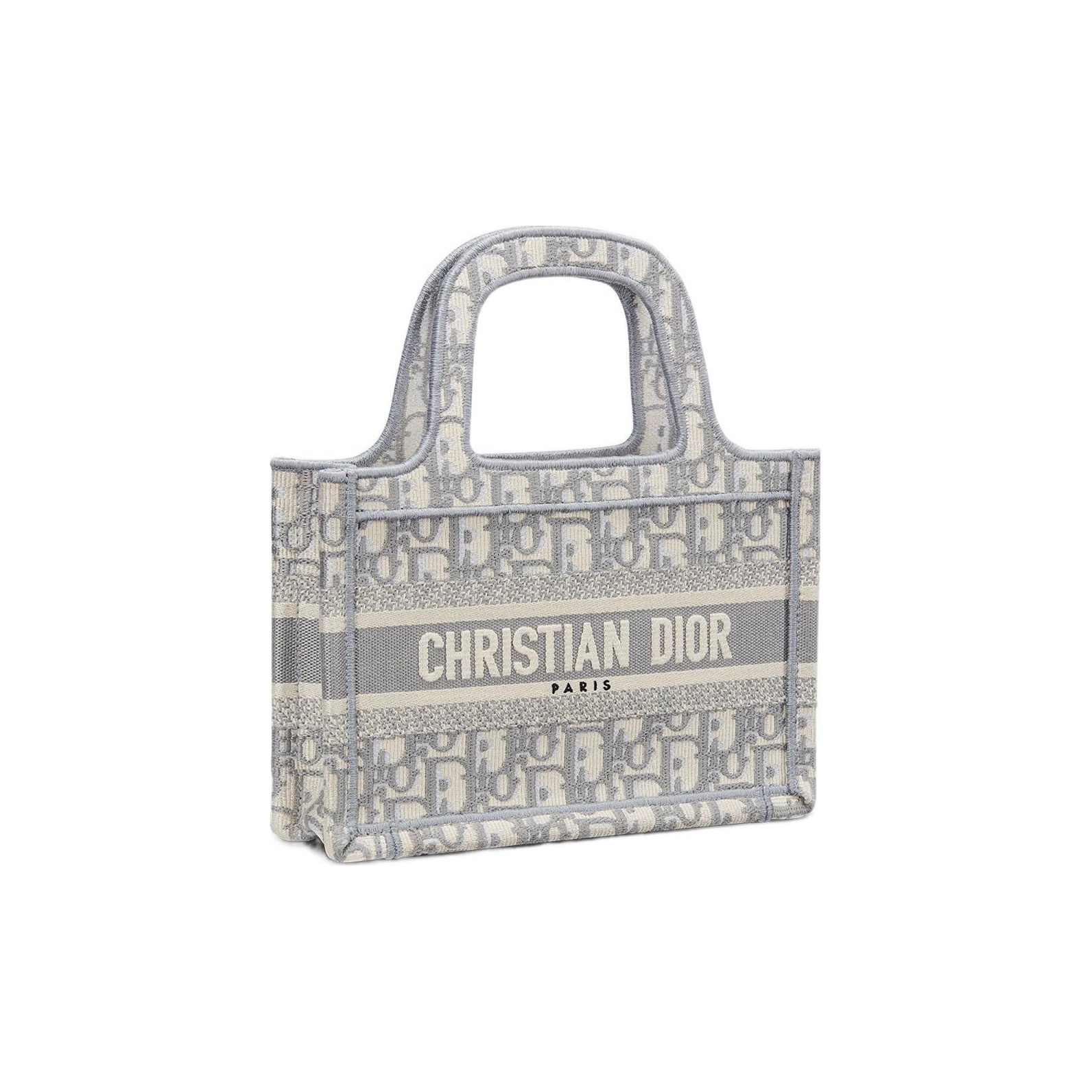 DIOR BookTote handbag