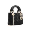 Ladies DIOR handbag