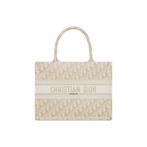 DIOR BookTote handbag