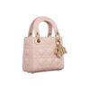 Ladies DIOR handbag