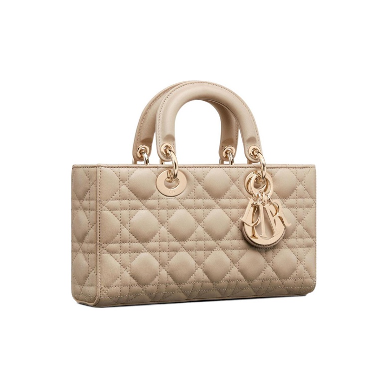 DIOR Lady D-JOY Handbag
