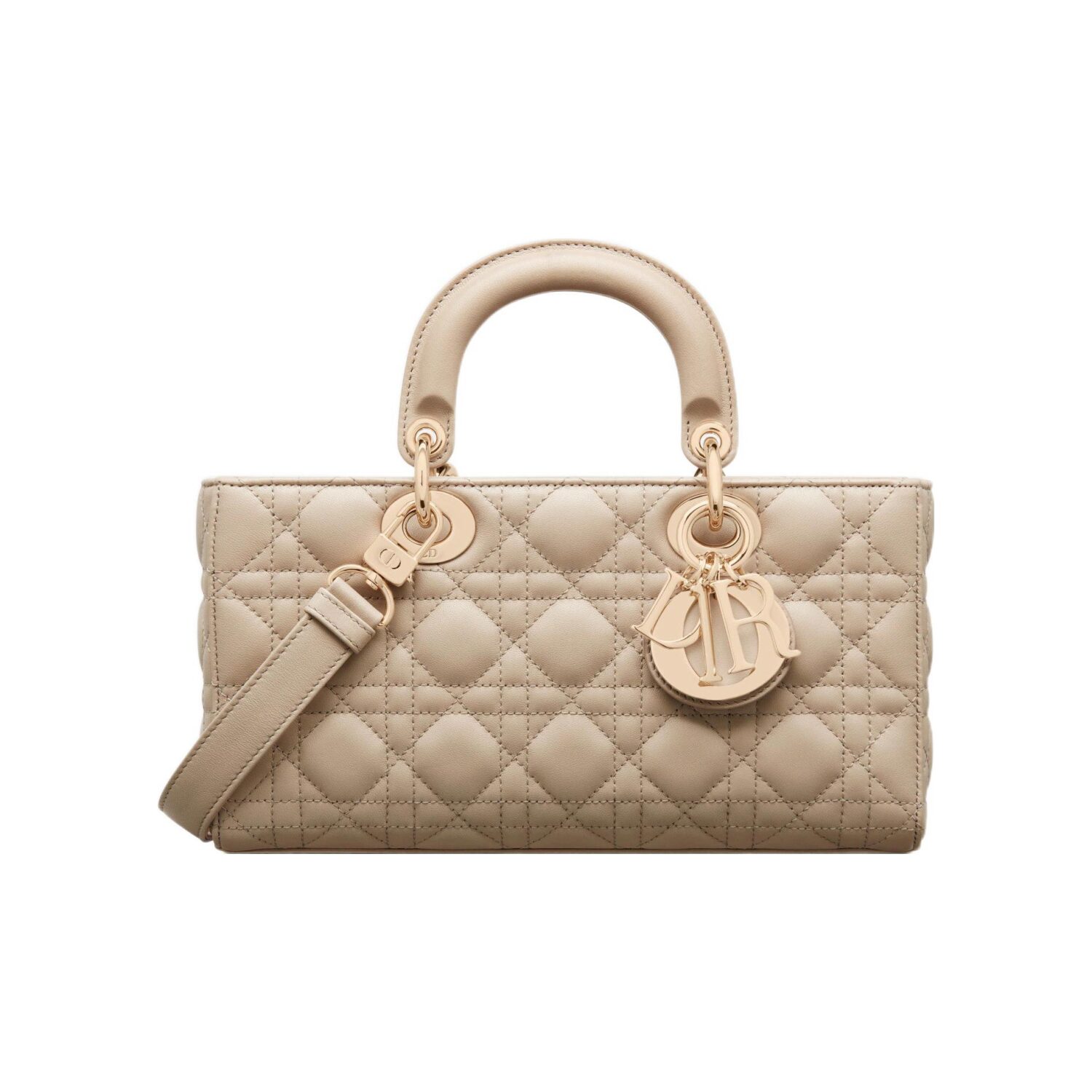 DIOR Lady D-JOY Handbag