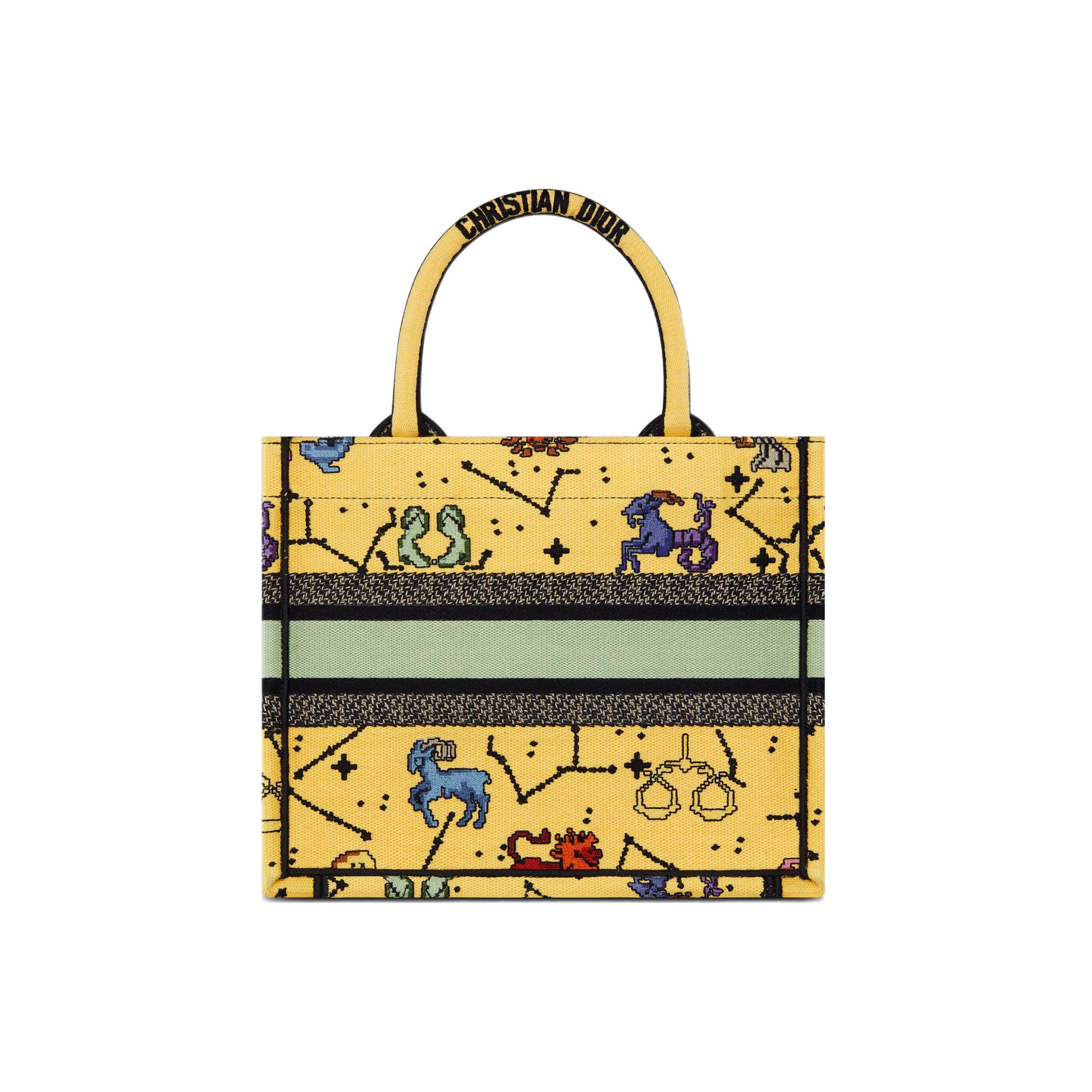 DIOR book handbag