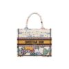 DIOR BookTote handbag