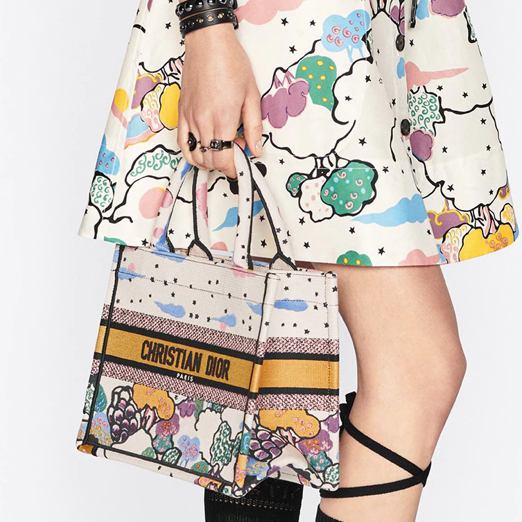 DIOR BookTote handbag