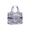 DIOR BookTote handbag