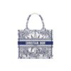 DIOR BookTote handbag