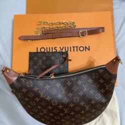 Louis Vuitton Loop Hobo