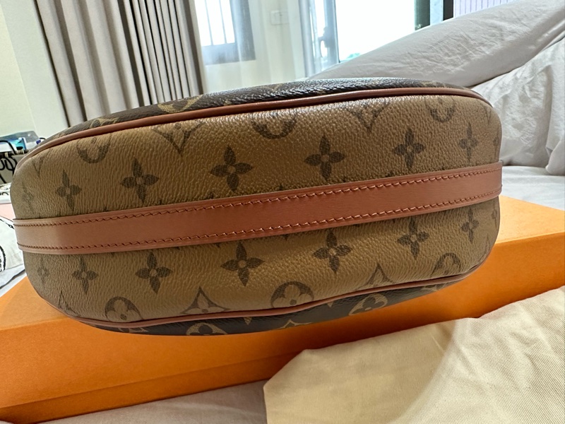 Louis Vuitton Loop Hobo