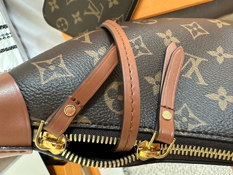 Louis Vuitton Loop Hobo